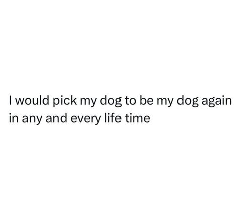 Old Dogs Quotes, Dog Aesthetic Quotes, Dog Holiday Quotes, Dogs Eyes Quotes, Animal Lover Quotes Feelings, Dead Dog Quotes, Soul Dog Quotes, Paws Quotes, I Love My Dog Quotes