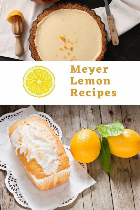 Do you love Meyer lemon recipes? If so, welcome to our list of yummy sweet and savory recipes with the mild and fragrant Meyer lemon! Recipes Using Meyer Lemons, Meyer Lemon Recipes Desserts, Myers Lemon Recipes, Mayer Lemon Recipes, Meyer Lemon Desserts, Myer Lemon Recipes, Fresh Lemon Recipes, Meyer Lemon Recipes, Lemon Roasted Chicken