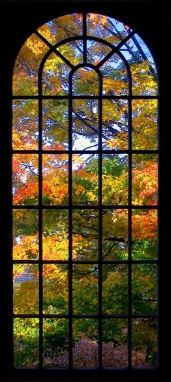 Autumn Stained Glass Window An Open Window, Window View, Autumn Beauty, Open Window, Through The Window, Lombok, Autumn Trees, Fall Foliage, In The Fall