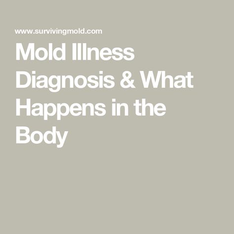 Mold Illness Diagnosis & What Happens in the Body Mold Illness, Immune Response, How Do I Get, Blood Test, Self Healing, Chronic Illness, Immune System, The Body, Focus On