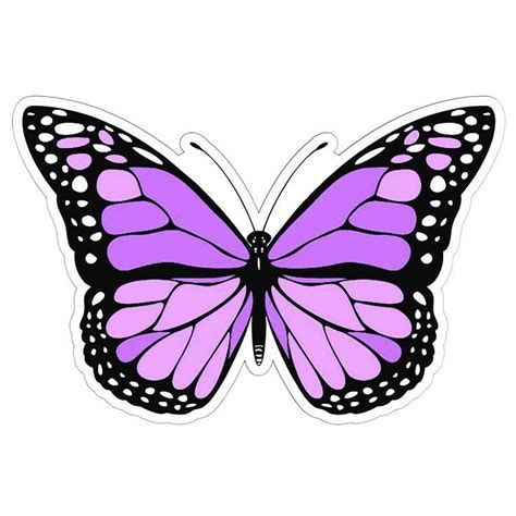 Purple Meaning, Coloured Butterfly, Purple Butterfly Wallpaper, Butterfly Outline, Butterfly Cake Topper, Butterfly Printable, Cute Laptop Stickers, Butterfly Wallpaper Iphone, Butterfly Images