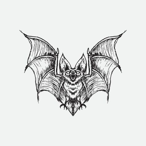 Bat Flash Tattoo, Bat Sketch, Bat Drawing, Bats Tattoo Design, American Traditional Tattoo Ideas, Traditional Tattoo Ideas, Medieval Tattoo, Bat Tattoo, Bat Art