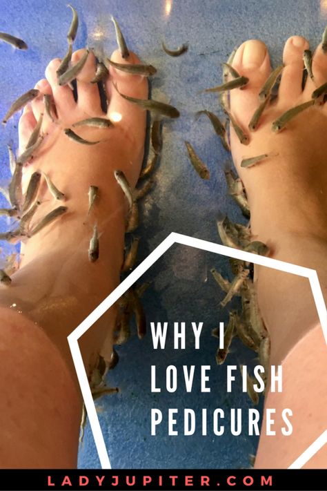 Fish Pedicure, Military Wife Life, Turmeric Vitamins, Quick Writes, Japanese Water, Military Spouse, Pedicures, Nutrition Information, Healthy Living Lifestyle