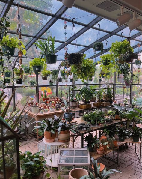 Indoor Greenhouse Room, Houseplant Greenhouse, Cozy Greenhouse, Botanical Greenhouse, Greenhouse Cafe, Plant Display Ideas, Garden Room Ideas, Plant House, Indoor Greenhouse