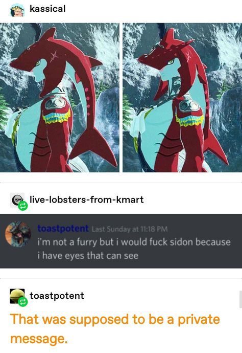 Prince Sidon X Link Comic, Link And Sidon Botw, Botw Screenshots, Prince Sidon X Link, Sidon X Link, Link X Sidon, Totk Link, Prince Sidon, Zelda Funny