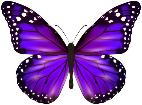 Butterfly Emoji, Purple Butterfly Wallpaper, Butterfly Png, Beautiful Butterfly Photography, Butterfly Art Painting, Cartoon Butterfly, Ipad Snap, Butterfly Template, Butterfly Printable