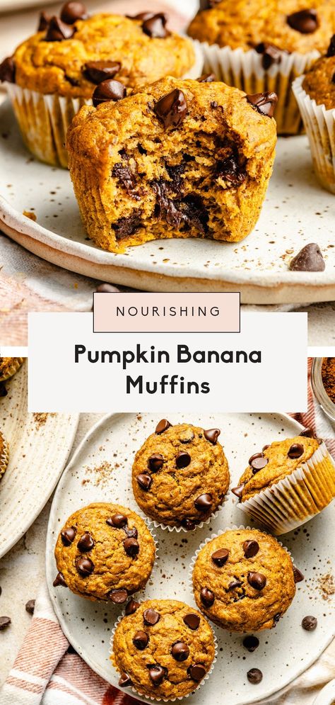 Banana Pumpkin Muffins with Chocolate Chips | Ambitious Kitchen Pumpkin Banana Protein Muffins, Pumpkin Banana Oatmeal Muffins, Leftover Banana Recipes Healthy, Pumpkin Banana Recipes, Pumpkin Chocolate Chip Muffins Healthy, Pumpkin Banana Bread Muffins, Pumpkin Muffins With Chocolate Chips, Banana Pumpkin Muffins, Leftover Pumpkin Puree