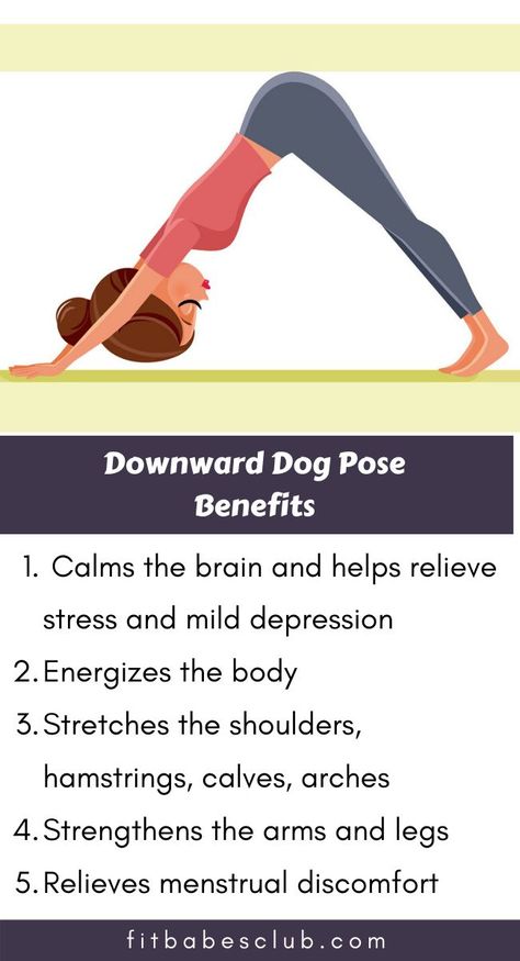 Downward Dog Yoga Pose, Downward Dog Yoga, Downward Dog Pose, Poses For Beginners, Benefits Of Yoga, Dog Poses, Dog Yoga, Yoga Iyengar, Relaxing Yoga