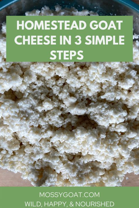 With just two ingredients and three steps, this simple but delicious goat cheese is sure to become a homestead staple. No starter culture is needed. #homestead #goatcheese #cheesemaking #homesteading #selfreliance #recipe #harvest Making Goat Cheese, Make Goat Cheese, Simple Homestead, Cheese Making Process, Cheese Recipes Homemade, Cheese Making Recipes, Canning Salt, Goat Milk Recipes, Diy Cheese