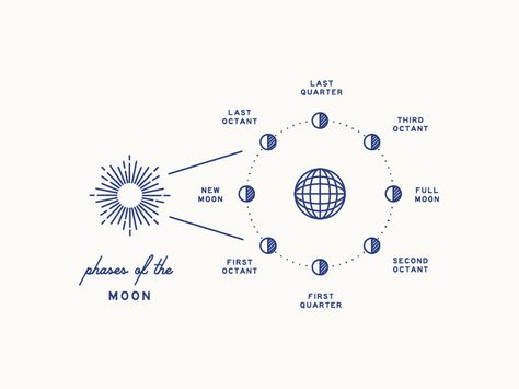 Moon Phase Diagram by Braizen Full Moon Phases, Process Design, Bauhaus Poster, Diagram Design, Ux Ui, Spell Book, Logo Ideas, Sweater Design, Moon Phases