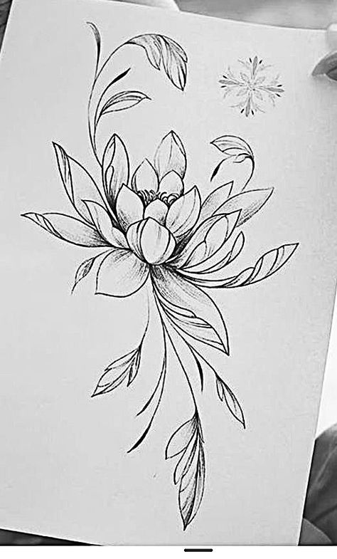 Water Lily Tattoo Stencil, Water Lily Stencil, July Water Lily Tattoo, Water Lily Flower Drawing, Water Lilies Tattoo, Water Lily Tattoo Design, Meaningful Flower Tattoos, Water Lily Drawing, Applic Work