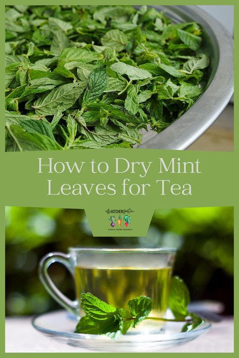 If you love mint tea and have access to mint plants or any fresh mint, then you’ll want to learn how to dry mint leaves for tea right at home. Drying mint leaves is easy and only requires a few materials. There are several drying methods for mint, so choose the method that works best for you. Once your mint leaves are dried, they’ll be ready to use in any recipe or peppermint tea blend – enjoy! Drying Mint Leaves For Tea, Uses For Mint Leaves, Dry Mint Leaves, Mint Leaves Recipe, Herbs Medicine, Mint Tea Recipe, Drying Fresh Herbs, Drying Mint Leaves, Vanilla Extract Recipe