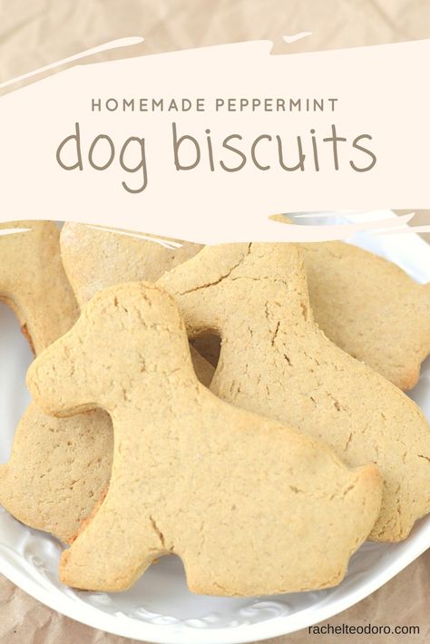 Homemade Peppermint Dog Biscuit Recipe Dog Biscuit Recipe, Pet Recipes, Homemade Dog Cookies, Animal Treats, Recipe Hacks, Dog Biscuit, Dog Biscuit Recipes, Dog Bakery, Best Dog Training