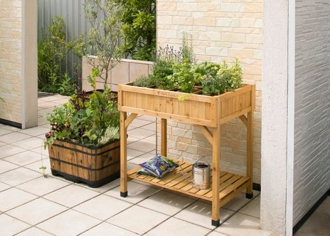 Successful Grow Your Own with VegTrug | Hillier Garden Centres Raised Herb Garden, Herb Garden Planter, Raised Garden Planters, Raised Planter Beds, Garden Plant Stand, Patio Balcony, Herb Planters, Raised Planter, Garden Equipment