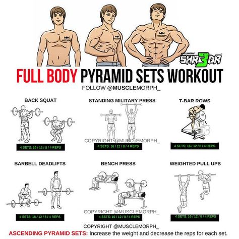 Want to BUILD MUSCLE? Try this workout LIKE/SAVE IT if you found this useful. FOLLOW @musclemorph_ for more exercise & nutrition tips . TAG A GYM BUDDY . ✳TRY IT with @musclemorph_ Most electrifying Pre-Workout SHR3DR available by clicking the link in our bio ➡MuscleMorphSupps.com #MuscleMorph via ✨ @padgram ✨(http://dl.padgram.com) Workout Pyramid, Muscle Groups To Workout, Healthy Physique, Abs Diet, Reps And Sets, Full Body Workout Routine, Gym Buddy, Muscle Building Workouts, Weight Training Workouts