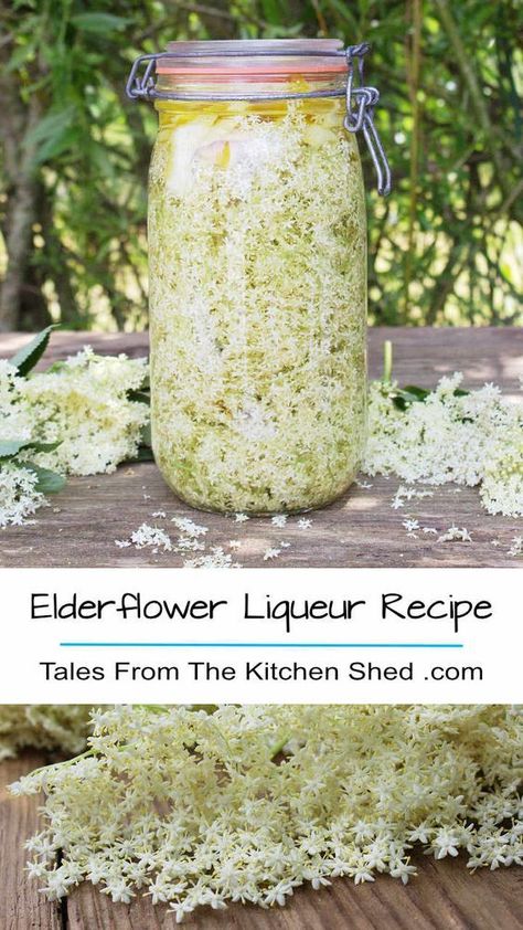 Capture the taste of summer with my Elderflower Liqueur recipe. Freshly picked elderflowers, vodka Elderflower Recipes, Elderberry Recipes, Edible Flowers Recipes, Homemade Alcohol, Wild Food Foraging, Homemade Liquor, Liquor Recipes, Foraging Recipes, Foraged Food