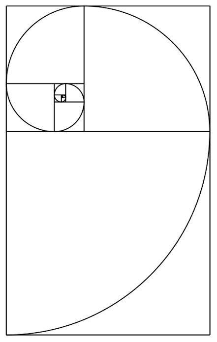 Golden Ratio Illustration, Fibonacci Spiral Art, Fibonacci Art, Golden Ratio In Design, Fibonacci Tattoo, Whale Tattoos, Spiral Art, Golden Spiral, Fibonacci Spiral