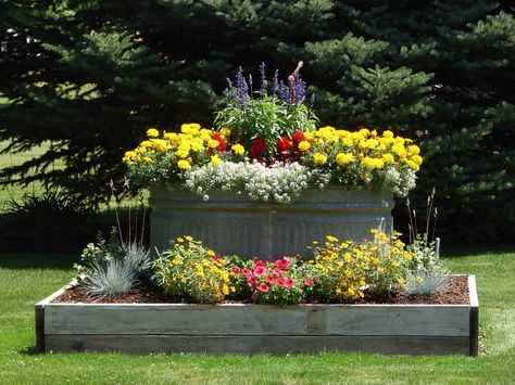 Water Trough Ideas, Stock Tank Gardening, Acreage Ideas, Gardening Containers, Yard Flowers, Container Herb Garden, Stump Removal, Galvanized Tub, Black Thumb