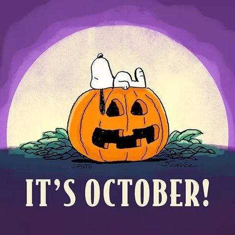 It’s October October Snoopy, Welcome October Images, Snoopy October, October Images, October Events, Charlie Brown Halloween, Peanuts Halloween, Snoopy Halloween, Snoopy Images