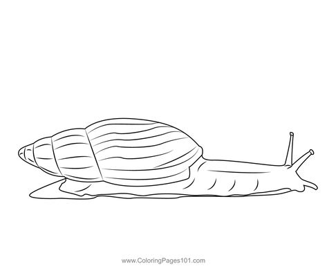 Giant African Snail Coloring Page Snail Coloring, African Snail, Free Kids, Printable Coloring Pages, Printable Coloring, Coloring Pages For Kids, Coloring Page, Free Printable, Coloring Pages