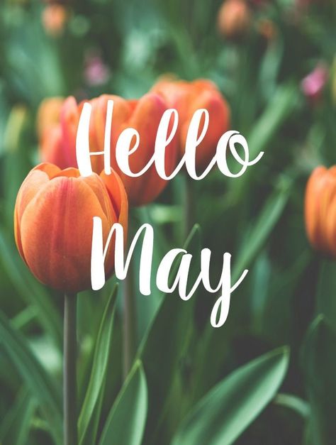 Hello May Pictures, Photos, and Images for Facebook, Tumblr, Pinterest, and Twitter Night Hug, Hello May Quotes, Neuer Monat, New Month Quotes, Welcome May, May Quotes, Seasons Months, Spring Quotes, Beautiful Days