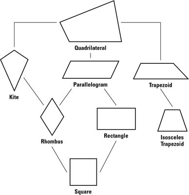 A quadrilateral is a polygon with four sides. There are seven quadrilaterals, some that are surely familiar to you, and some that may not be so familiar. Check out the following definitions and the quadrilateral family tree in the following figure. If you know what the quadrilaterals look like, their definitions should make sense and … Quadrilateral Drawing, Venn Diagram Worksheet, Perimeter And Area, Plane Figures, Spatial Reasoning, Teaching Geometry, Math Notebook, Math Anchor Charts, Counting Worksheets