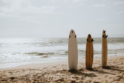 Mockup Photography, Where Is Bora Bora, Summer Beach Pictures, Lanai Island, Tahiti French Polynesia, Beach Pink, Surf Boards, Running On The Beach, Nice Pic