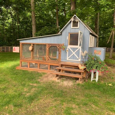 Chicken Coop Colors Scheme Hen House, Cutest Chicken Coop, Colored Chicken Coop, Yellow Chicken Coop, Easy Duck Coop Ideas, Chicken Gazebo, Nice Chicken Coop, Colorful Chicken Coop Ideas, Chicken Coop Colors Scheme Exterior