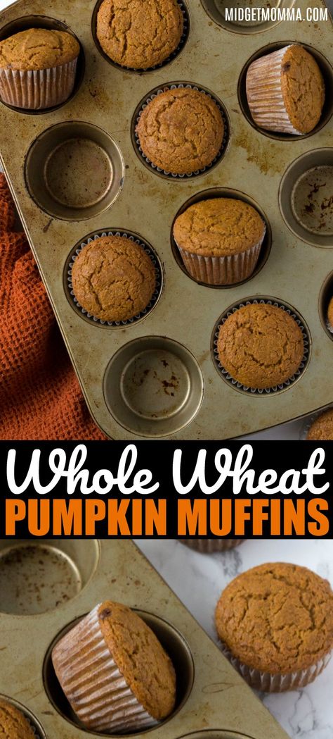 Healthy whole wheat pumpkin muffins are perfect for breakfast, lunch and snack! Make ahead and freeze them so you always have them on hand! I LOVE this healthy pumpkin muffins recipe!  #pumpkin #muffins #breakfast #healthy #fall #MidgetMomma #Muffin Muffins Breakfast Healthy, Whole Wheat Pumpkin Muffins, Healthy Pumpkin Muffins, Pumpkin Muffins Recipe, Whole Wheat Muffins, Pumpkin Muffins Easy, Muffins Breakfast, Pumpkin Muffin Recipes, Recipe Pumpkin