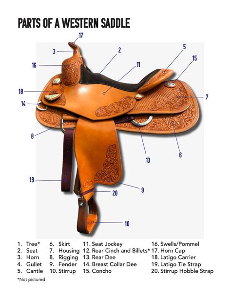 Parts Of A Western Saddle, Horse Basics, Leather Holster Pattern, Horse Carving, Western Horsemanship, Western Dressage, Equestrian Style Outfit, Horse Journal, Horses Western