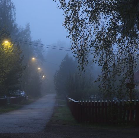 Dark Naturalism, Foggy Weather, Rainy Day Aesthetic, Street Lights, Autumn Aesthetic, Nature Aesthetic, Pretty Places, The Villain, Blue Aesthetic