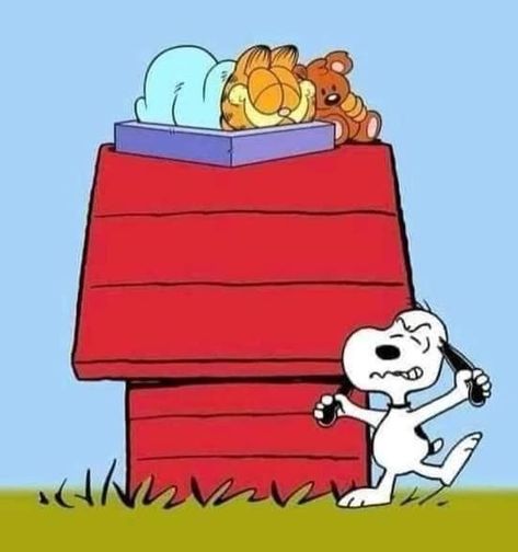 Charlie Brown Wallpaper, Garfield Images, Garfield Cartoon, Cartoons 80s 90s, Garfield And Odie, Snoopy Images, Snoopy Wallpaper, Snoopy Quotes, Snoopy Pictures