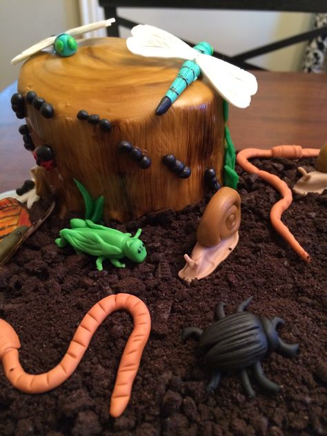 Fondant Insects, Insect Birthday Cake, Insects Birthday Cake, Insect Cake Ideas, Bug Smash Cake, Insect Cake, Insects Cake Ideas, Fondant Bugs, Insect Cakes For Boys