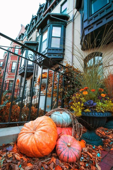 Watch Boston brownstones light up with Jack-‘o-lanterns as the spooky season creeps up in Boston. With Salem just outside the city, dress up as your favorite character and join the annual Haunted Happenings throughout the Halloween season. Or bring your family to LEGOLAND for Brick-or-Treating. 

The spooky fun is never-ending! Things To Do On Halloween, Boston Brownstone, Museum Of Science, Halloween Events, Boston Things To Do, Fall Getaways, Event Activities, City Dress, Halloween Event