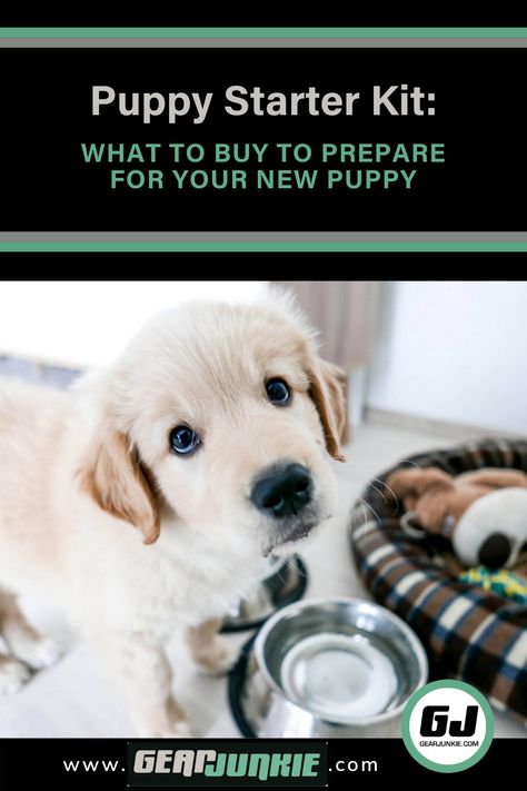 Puppy Checklist, Puppy Starter Kit, New Puppy Dog Care Checklist, Puppy Starter Kit, Getting A Puppy, Dog Care Tips, Puppy Care, Pet Hacks, What To Buy, Cat Adoption, Diy Dog Stuff