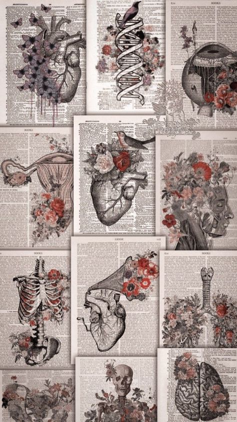 Anatomy Wallpaper Aesthetic, Vintage Medical Art, Medical Wallpaper, Biology Art, Hawaii Oahu, Human Anatomy Art, Soyut Sanat Tabloları, Medical Art, Human Heart