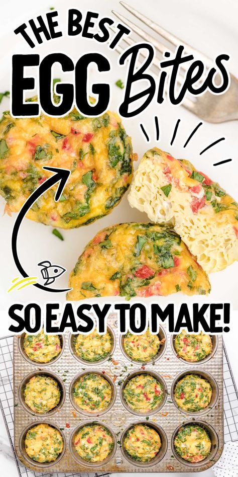 Egg Casserole Bites, Bariatric Recipes Egg Bites, Frozen Egg Bites Recipe, Egg Bake Bites, Homemade Egg Bites Healthy, Egg Bites No Cheese, Easy Egg Bite Recipes, Gina Livy Breakfast Ideas, Egg Bites Veggie