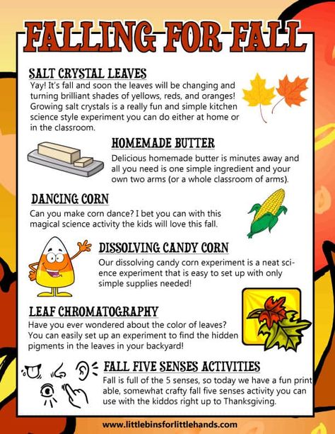 Festive Fall STEM Activities For Kids - Little Bins for Little Hands Fall Stem Activities For Kids, Stem Activities For Preschoolers, Homeschool Fall Activities, November Stem, Fall Stem Challenges, Thanksgiving Stem Activities, Fall Stem Activities, Simple Stem Activities, Thanksgiving Stem