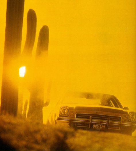 1973 Buick Regal Colonnade Cowboy Aesthetic, Welcome To Night Vale, Night Vale, Buick Century, Buick Regal, Nose Art, Yellow Aesthetic, Old Barns, Summer Heat