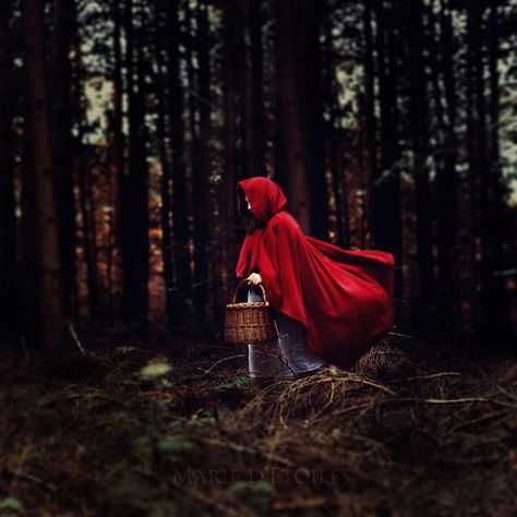 Red Riding Hood Photography, Dark Fairytale Aesthetic, Red Riding Hood Wolf, Red Riding Hood Art, Dark Fairytale, Wayne Thiebaud, Stinging Nettle, Talk To Strangers, Fotografi Vintage