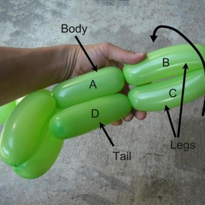 How to Make a Dog Balloon Animal in 8 Simple Steps: Dog Balloon Animal - Body and Legs Dog Balloon Animal, Easy Balloon Animals, Dog Balloon, Dog Themed Birthday Party, How To Make Balloon, Balloon Modelling, Balloon Painting, Balloon Crafts, Balloon Twisting