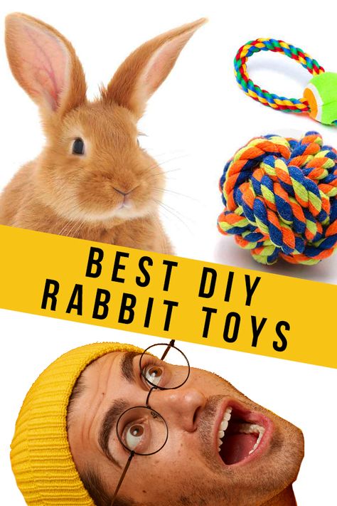 DIY rabbit toys are easy and fun to make! Just because bunnies are quiet, doesn’t mean they don’t like to play. In fact, rabbits are naturally intelligent, playful animals. Activities For Rabbits, Rabbit Toys Diy Homemade, Toys For Bunnies Diy, Toys For Rabbits Diy, How To Make Rabbit Toys Diy, How To Make Rabbit Toys, Rabbit Toys Ideas, Diy Rabbit Accessories, Pet Bunny Rabbits Cage