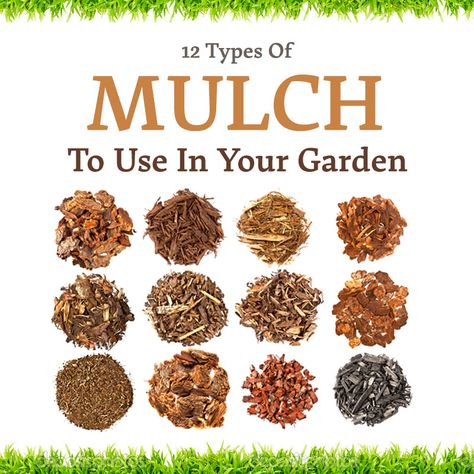 Garden Bark, Compost Mulch, Garden Mulch, Straw Mulch, Types Of Mulch, Rubber Mulch, Mulch Landscaping, Planting Tips, Gardening Zones