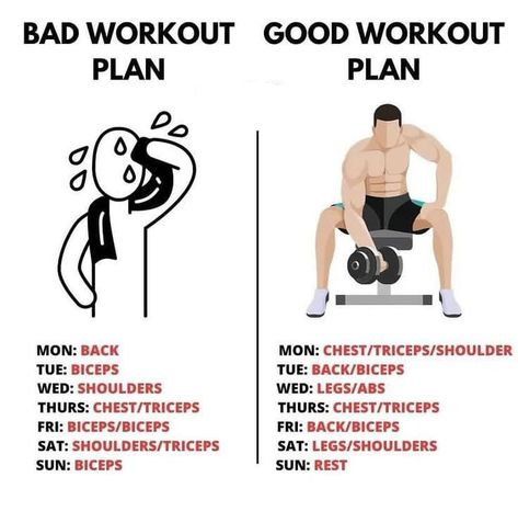 Cardio And Weight Training Schedule, Aerobic Exercises, Flexibility Exercises, Plan Workout, Workout Gym Routine, Gym Workout Guide, Workout Program Gym, Gym Workout Planner, Best Workout Plan