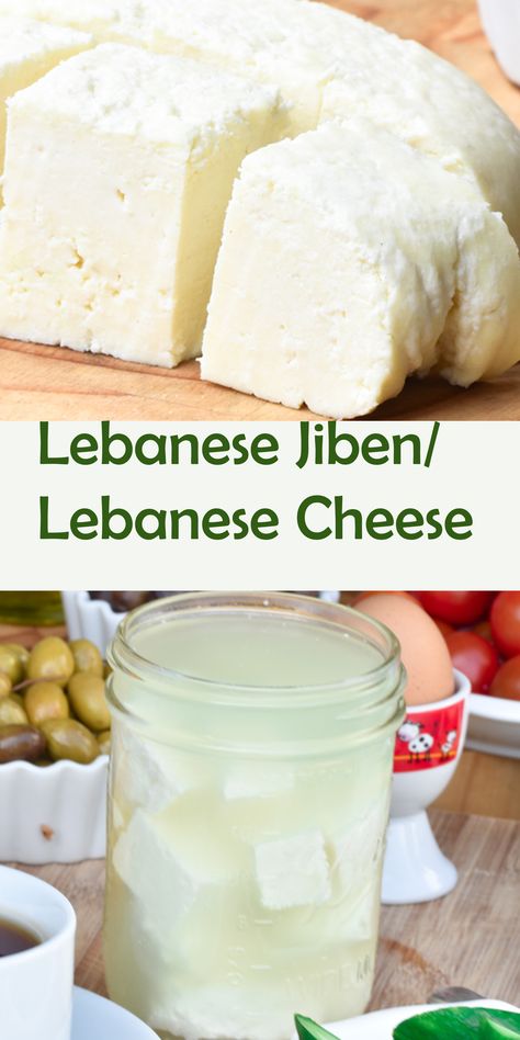 White Cheese Recipes, Homemade Cheeses, Marshmallow Sauce, Home Pantry, Cheese Recipes Homemade, Cheese Making Recipes, Goat Milk Recipes, Dairy Recipes, Syrian Food