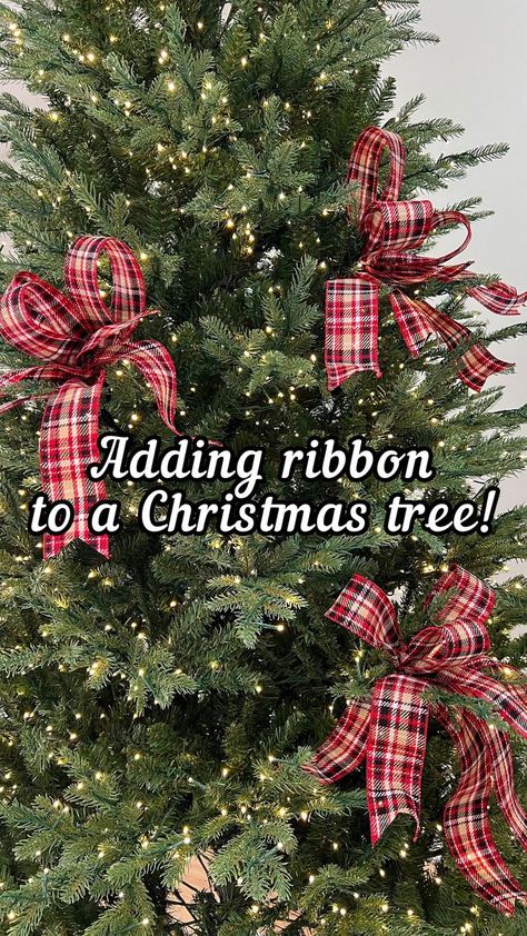 795K views · 2.3K shares | A simple way to decorate your Christmas tree this year using ribbon! 🌲🎀 #reels #diy #decor #christmas #christmastree | Nick’s Seasonal Decor | nicksseasonaldecor · Original audio Bows On Christmas Tree, Christmas Tree Ribbon Garland, Diy Decor Christmas, Christmas Diy's, Christmas Tree Decorations Ribbon, Elegant Christmas Tree Decorations, Christmas Tables, Tree Bows, Christmas Bows Diy