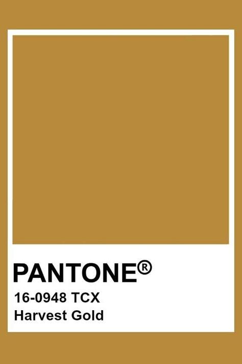 Harvest Gold Paint Color, Harvest Gold Color Palette, Mustard Yellow Pantone, Golden Pantone, Pantone Mustard, Gold Color Swatch, Gold Pantone Color, Gold Solid Color, Gold Colour Palette