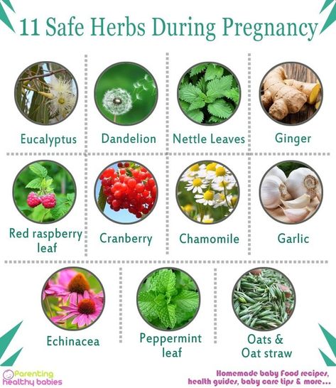 Herbs Safe For Pregnancy, Herbs To Get Pregnant, Witch Pregnancy, Tea For Pregnant Women, Herbs For Pregnancy, Pregnancy Safe Tea, Pregnancy Herbs, Vegetarian Pregnancy, Pregnancy Eating