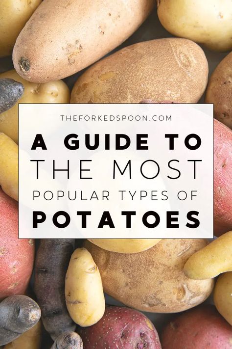 A guide to the most popular types of potatoes. Let’s look at a brief history of this famous root vegetable, examine the various uses and potato types, and give you some easy and delicious potato recipes so that you can start cooking this versatile spud at home! Potato Types, Seed Potatoes, Determinate Tomatoes, Potato Varieties, Perfect Baked Potato, Types Of Potatoes, German Potato Salad, Holiday Favorite Recipes, Growing Potatoes