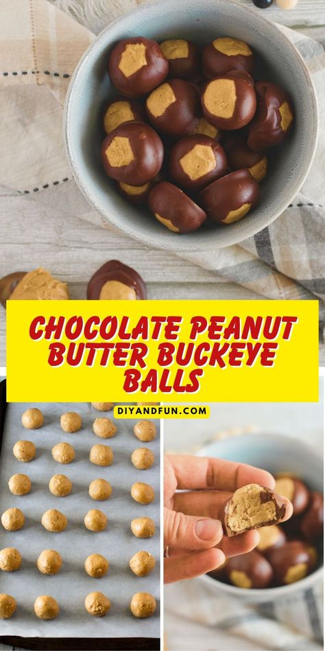 Chocolate Peanut Butter Buckeye Balls Recipe Buckeyes Graham Crackers, Buckeye Balls With Graham Crackers, Buckeyes With Graham Cracker Crumbs, Peanut Butter Balls Graham Crackers, Peanut Butter Balls With Graham Crumbs, Buckeyes Recipe With Graham Crackers, Buckeye Graham Crackers, Graham Cracker Peanut Butter Balls, Peanut Butter Balls With Graham Crackers